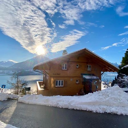 Chalet Egglen "Typical Swiss House, Best Views, Private Jacuzzi" Зигрисвил Екстериор снимка