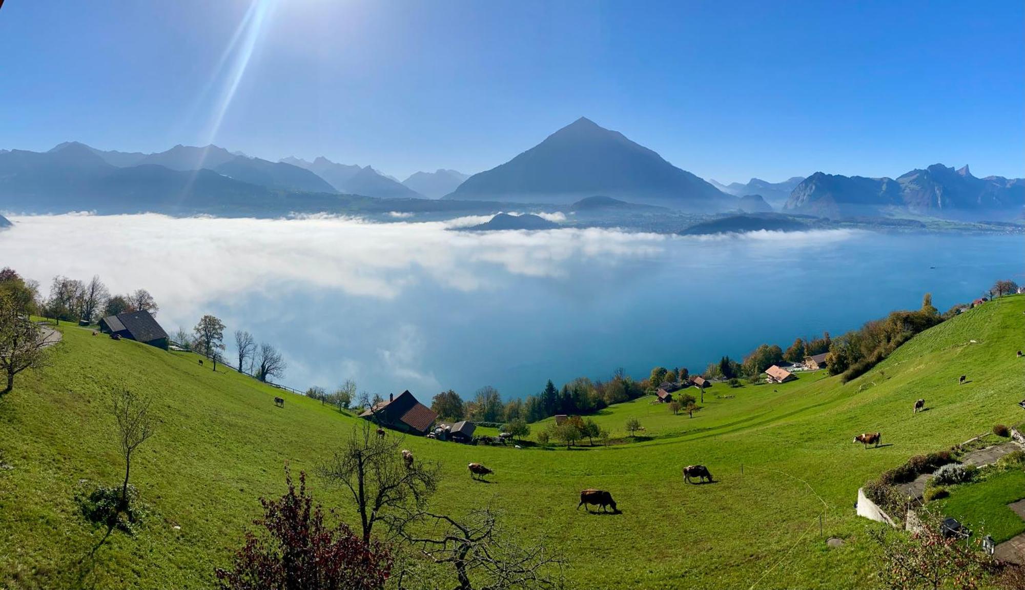 Chalet Egglen "Typical Swiss House, Best Views, Private Jacuzzi" Зигрисвил Екстериор снимка