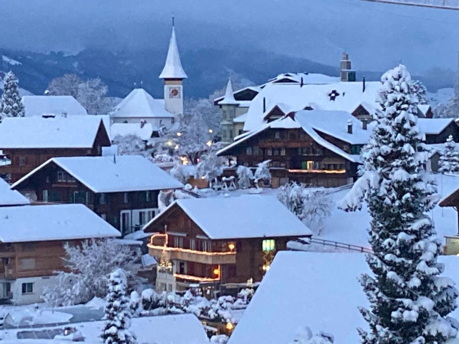 Chalet Egglen "Typical Swiss House, Best Views, Private Jacuzzi" Зигрисвил Екстериор снимка