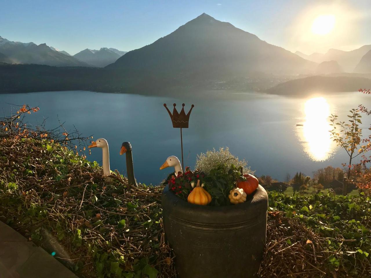Chalet Egglen "Typical Swiss House, Best Views, Private Jacuzzi" Зигрисвил Екстериор снимка