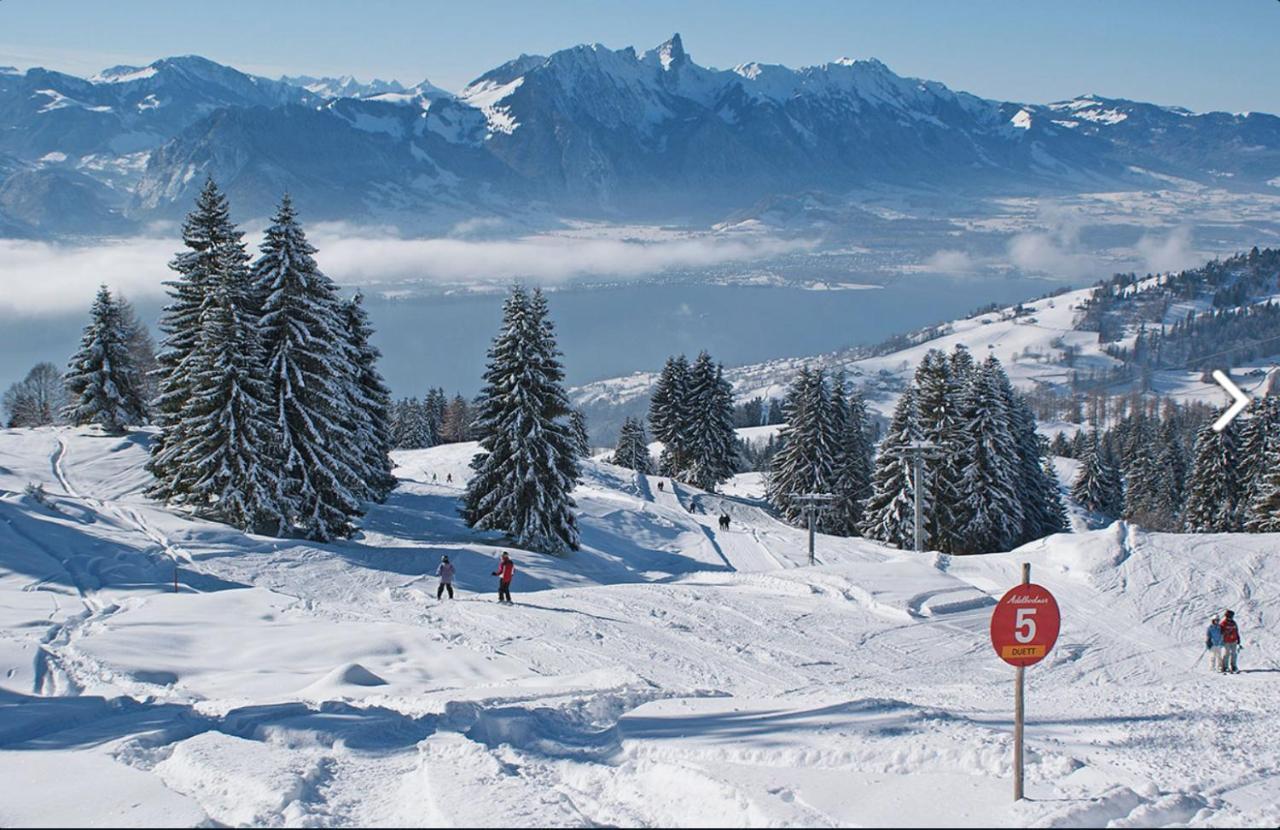 Chalet Egglen "Typical Swiss House, Best Views, Private Jacuzzi" Зигрисвил Екстериор снимка