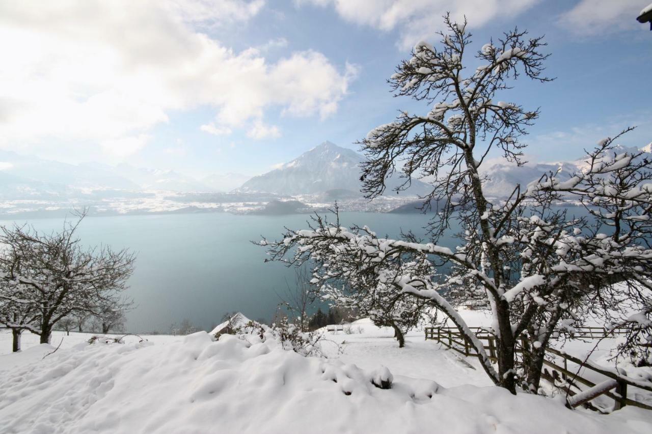 Chalet Egglen "Typical Swiss House, Best Views, Private Jacuzzi" Зигрисвил Екстериор снимка