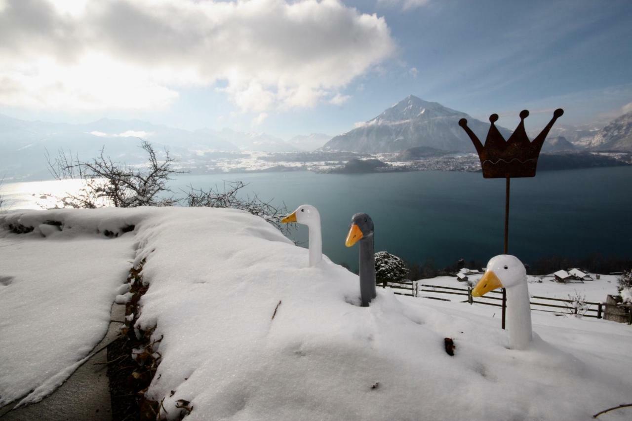 Chalet Egglen "Typical Swiss House, Best Views, Private Jacuzzi" Зигрисвил Екстериор снимка