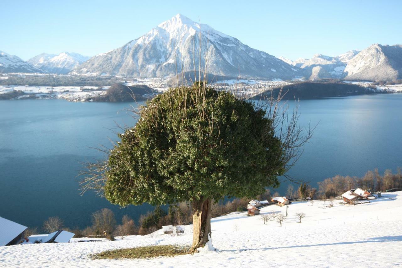 Chalet Egglen "Typical Swiss House, Best Views, Private Jacuzzi" Зигрисвил Екстериор снимка
