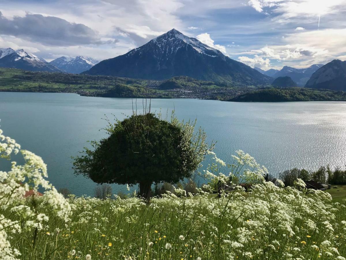 Chalet Egglen "Typical Swiss House, Best Views, Private Jacuzzi" Зигрисвил Екстериор снимка